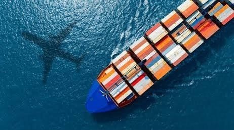 Navigate Customs With Us!